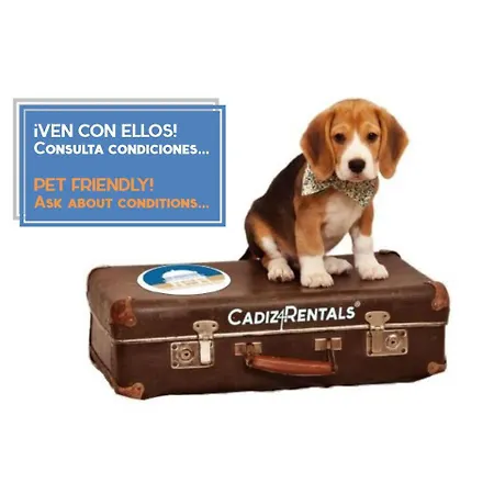 La Pepa1812 By Cadiz4rentals 公寓 加的斯