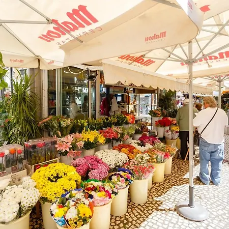 La Pepa1812 By Cadiz4rentals Apartment Cadiz